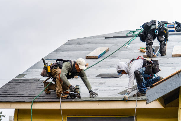 Professional Storm Damage Roof Repair technician working in Preble, IN